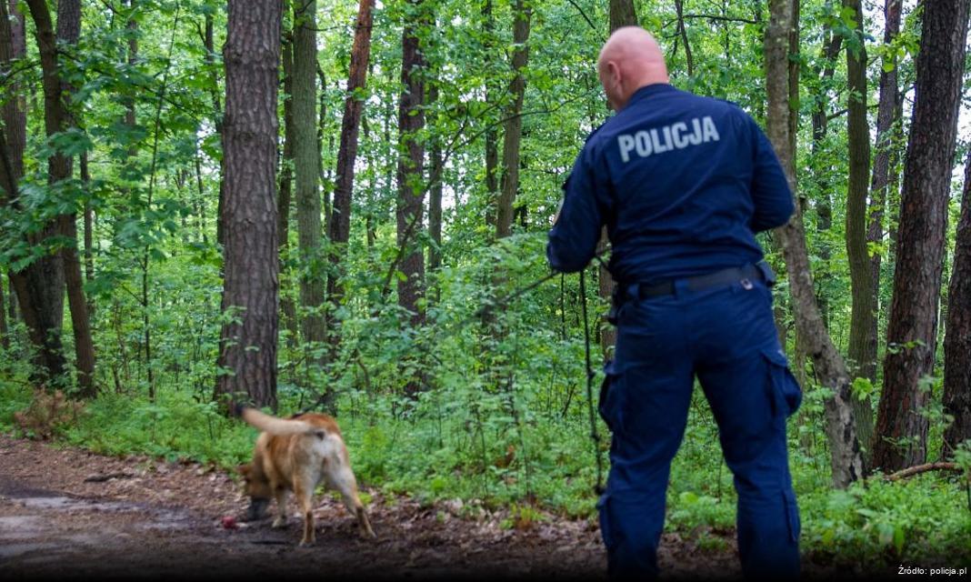 Akcja „Świeć przykładem” promuje bezpieczeństwo pieszych w Rajczy