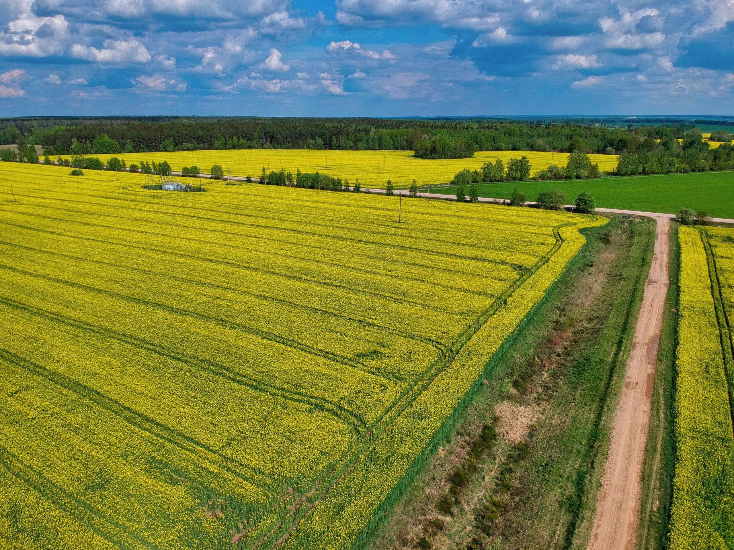 Jak jest rola nawożenia azotowego?