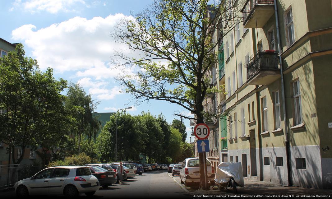 Nabór wniosków na finansowanie inicjatyw lokalnych w Rajczy